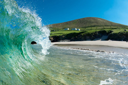 blasket islands boat trips